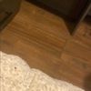 bby_cat